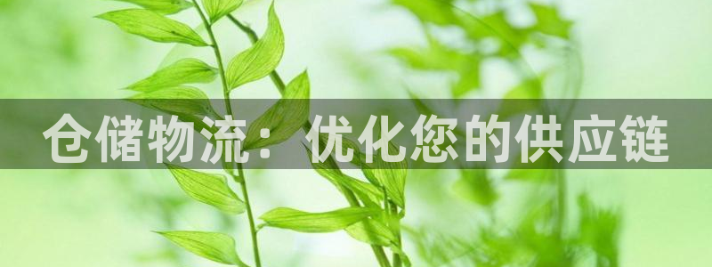 28圈登录网：仓储物流：优化您的供应