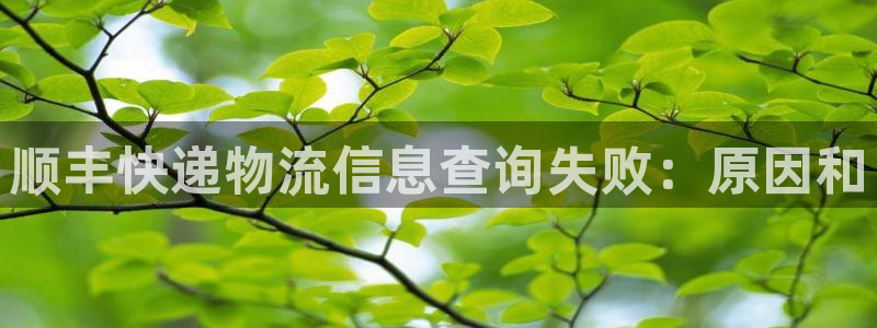 28圈pg如何退钱：顺丰快递物流信息