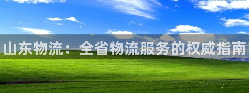 28圈充值不处理会怎么样：山东物流：