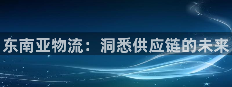 28圈注册登录流程：东南亚物流：洞悉