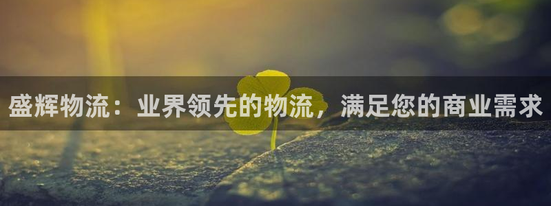 28圈反水：盛辉物流：业界领先的物流，满足您的商业需求