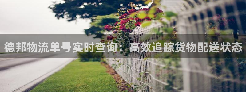 28圈分分压单双技巧：德邦物流单号实