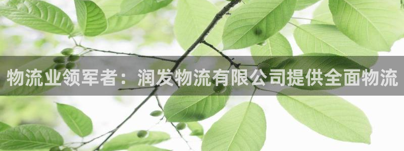 28圈链接来一个